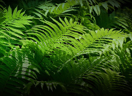 人生就是博·(中国区)官方网站